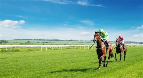sogo turf|IVANATURF.
